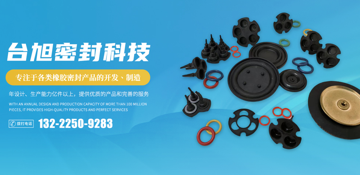 常州9888拉斯维加斯密封科技有限公司