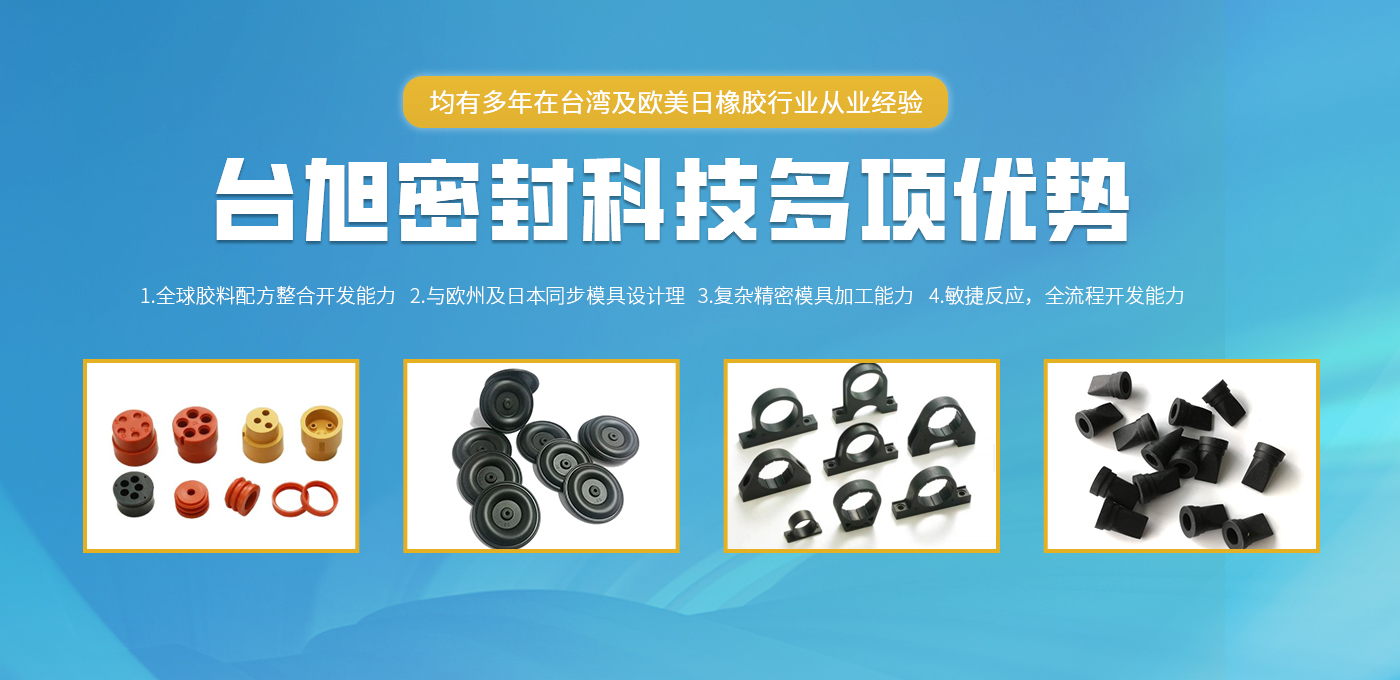常州9888拉斯维加斯密封科技有限公司